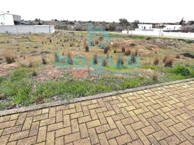 Terreno en venta en Tierra de Barros, Extremadura