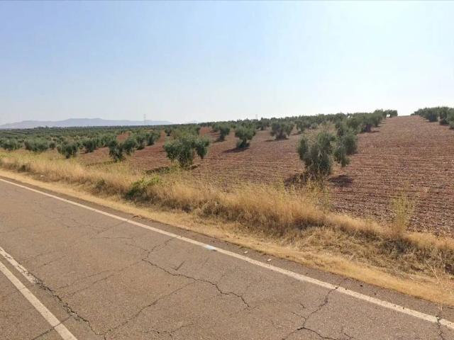 Terreno en venta en Tierra de Barros, Extremadura