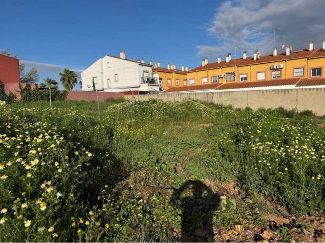 Terreno en venta en Tierra de Barros, Extremadura