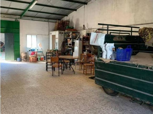 Terreno en venta en Tierra de Barros, Extremadura