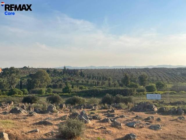 Terreno en venta en Tierra de Barros, Extremadura