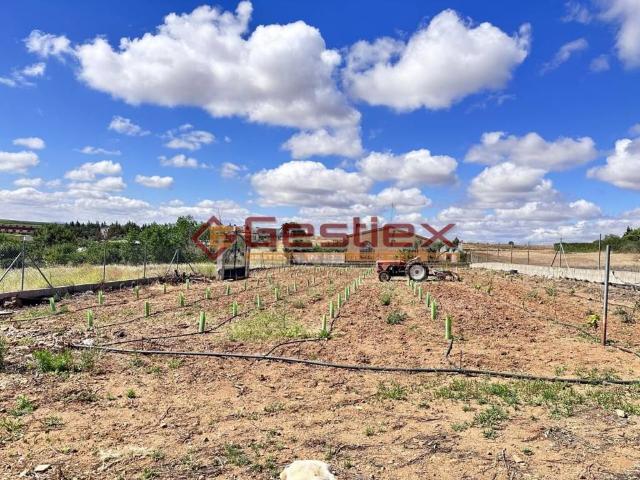 Terreno en venta en Almendralejo