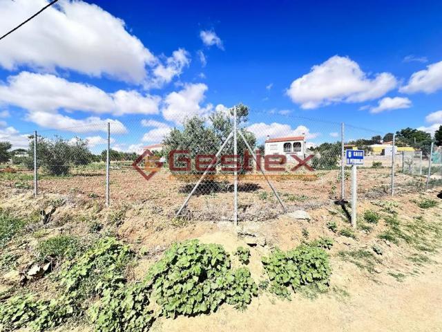 Terreno en venta en Tierra de Barros, Extremadura