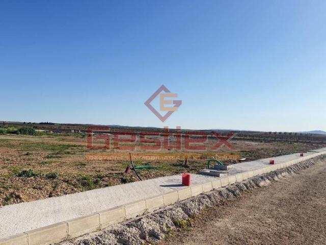 Terreno en venta en Tierra de Barros, Extremadura