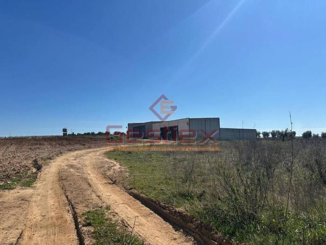 Terreno en venta en Tierra de Barros, Extremadura