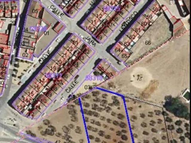 Terreno en venta en Almensilla, Andalucía