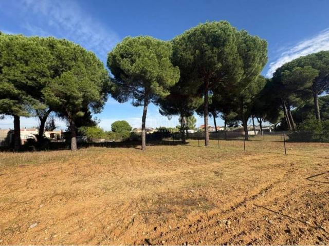 Terreno en venta en Almensilla, Andalucía