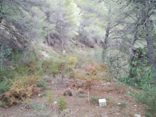 Terreno en venta en la Safor, Valencia