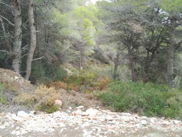 Terreno en venta en la Safor, Valencia