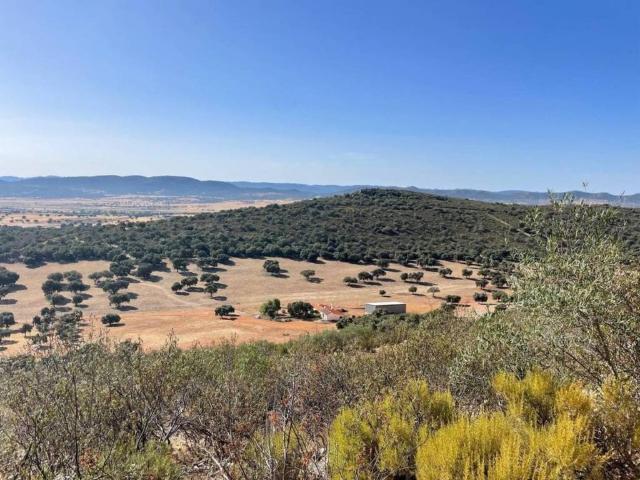 Terreno en venta en Almodóvar Del Campo, Castilla-La Mancha