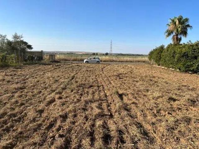 Terreno en venta en Almodóvar Del Río, Andalucía