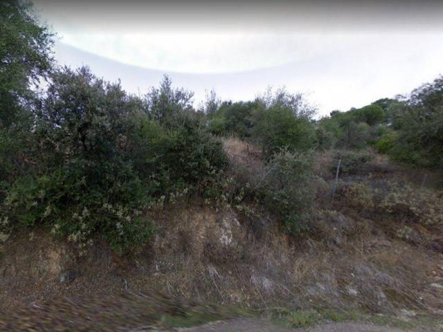 Terreno en venta en Almodóvar Del Río, Andalucía