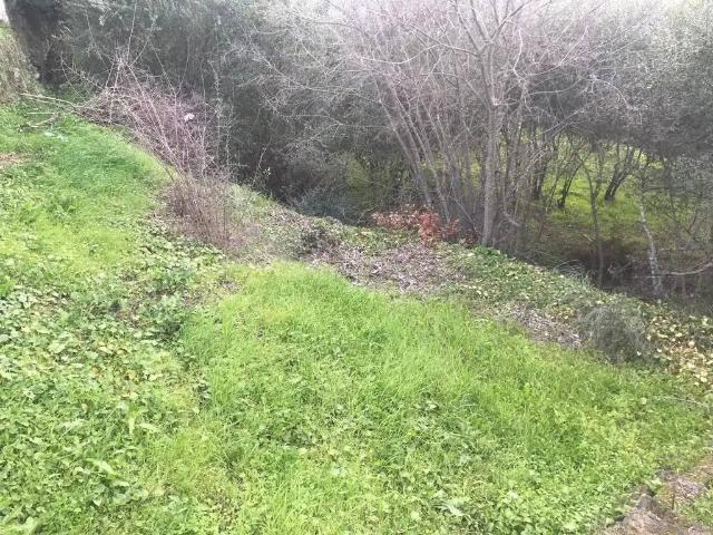 Terreno en venta en Almodóvar Del Río, Andalucía