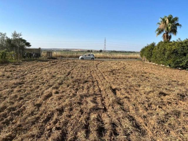 Terreno en venta en Almodóvar Del Río, Andalucía