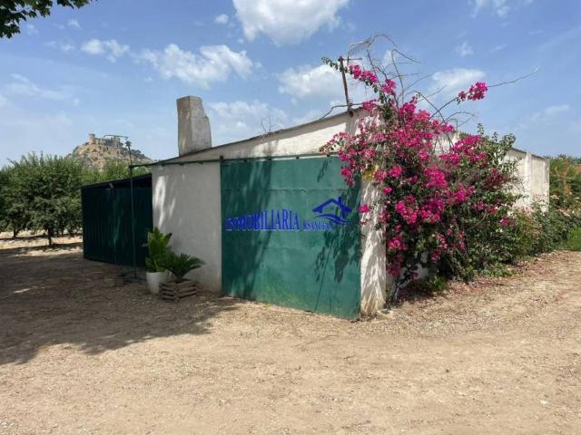 Terreno en venta en Almodóvar Del Río, Andalucía