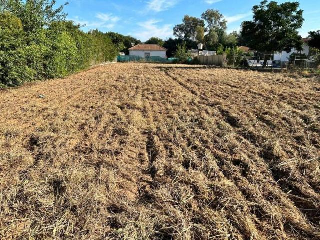 Terreno en venta en Almodóvar Del Río, Andalucía