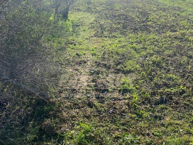Terreno en venta en Almodóvar Del Río, Andalucía