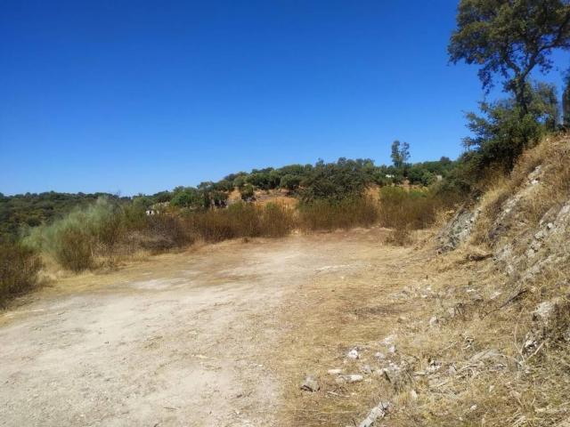 Terreno en venta en Almodóvar Del Río, Andalucía