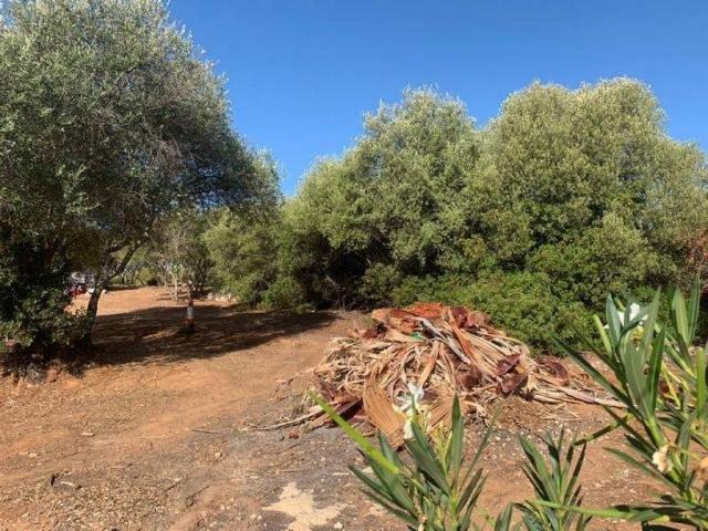 Terreno en venta en Almodóvar Del Río, Andalucía