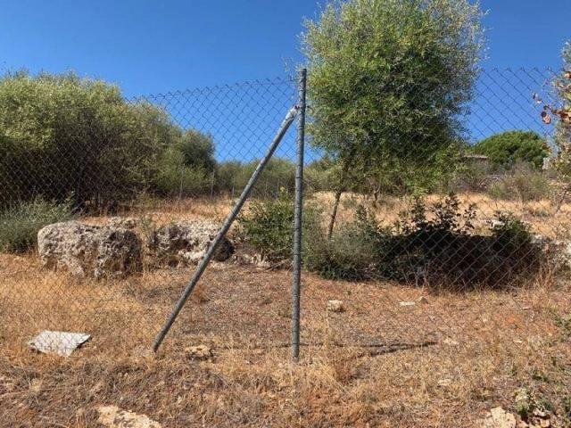 Terreno en venta en Almodóvar Del Río, Andalucía