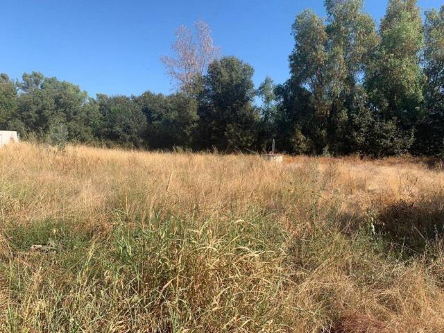 Terreno en venta en Almodóvar Del Río, Andalucía
