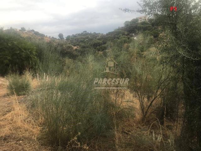 Terreno en venta en Almodóvar Del Río, Andalucía