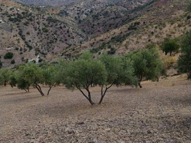 Terreno en venta en Valle del Guadalhorce, Andalucía