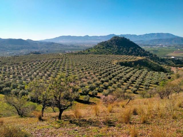 Terreno en venta en Almogía, Málaga