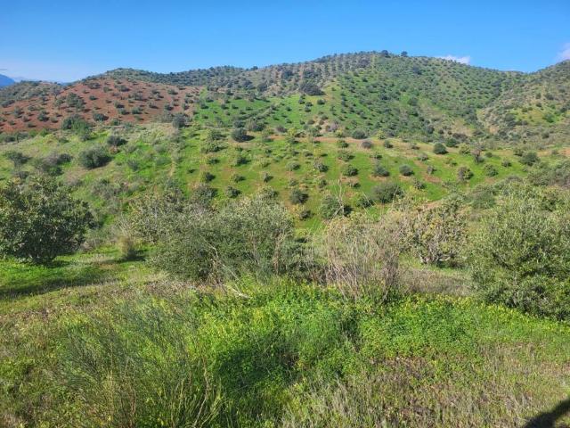 Terreno en venta en Valle del Guadalhorce, Andalucía