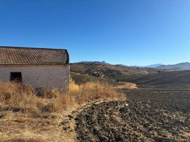 Terreno en venta en Almogía, Málaga