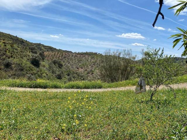 Terreno en venta en Almogía Terreno en venta en Almogía