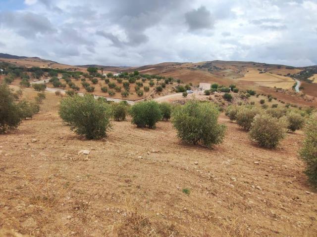 Terreno en venta en Almogía, Málaga