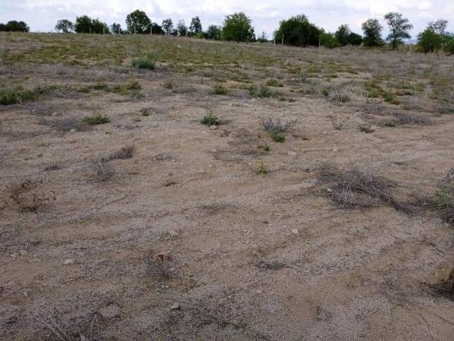 Terreno en venta en Almonacid de Toledo, Toledo