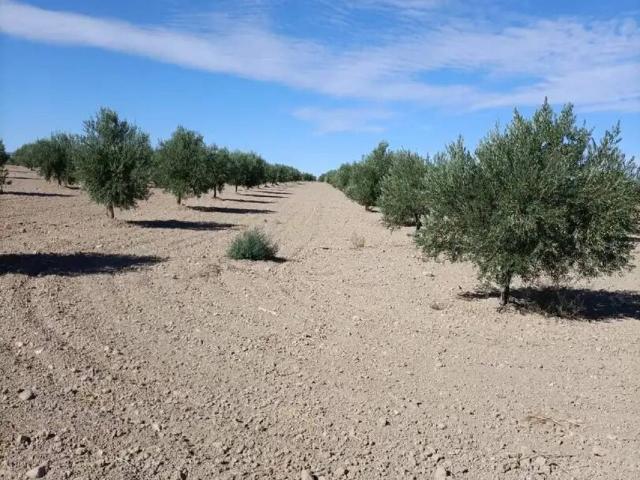 Terreno en venta en Almonacid de Toledo, Toledo