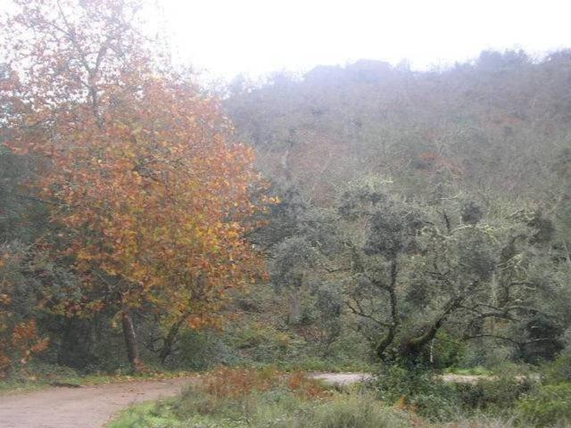 Terreno en venta en Sierra de Huelva, Andalucía