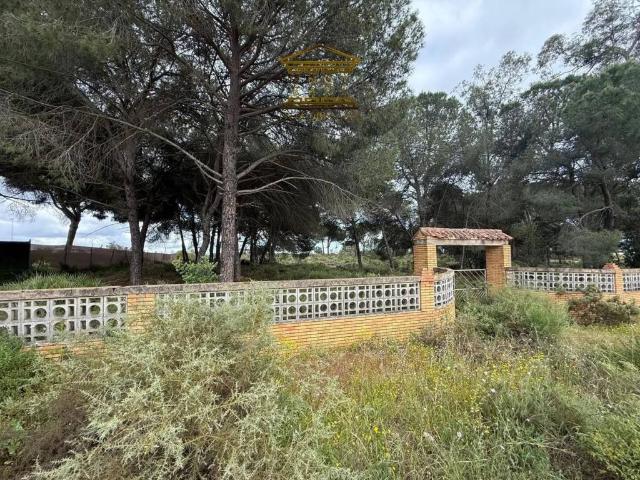 Terreno en venta en El Condado, Andalucía