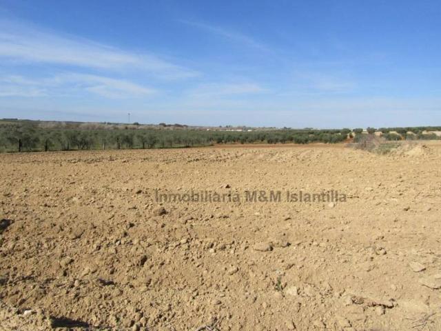 Terreno en venta en El Condado, Andalucía