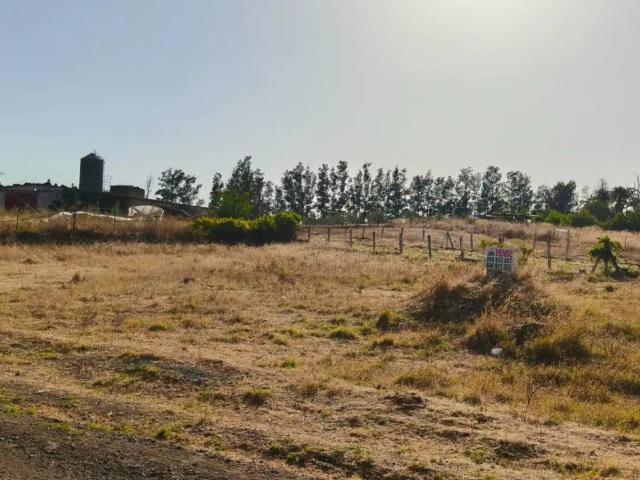 Terreno en venta en Almonte, Huelva