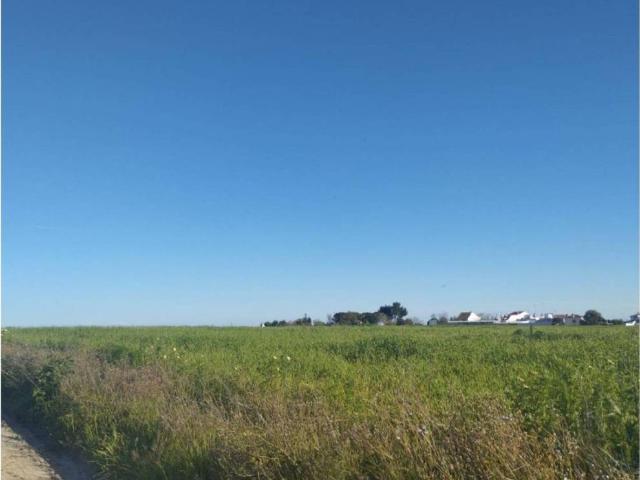 Terreno en venta en El Condado, Andalucía