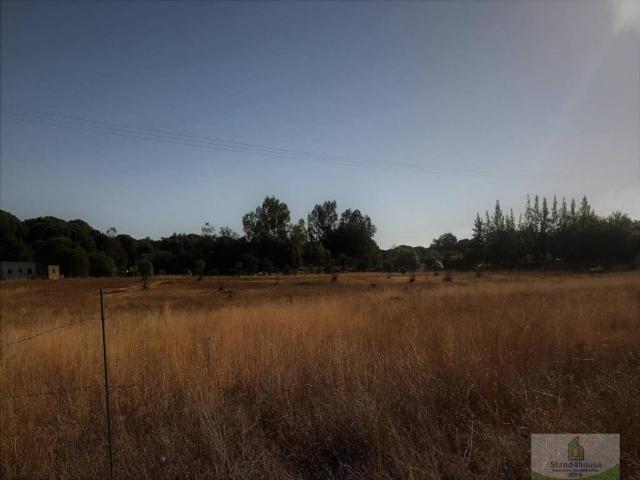 Terreno en venta en El Condado, Andalucía