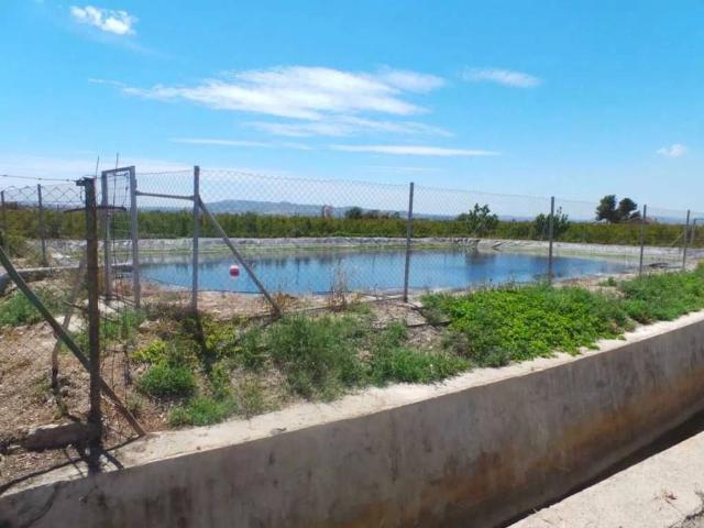Terreno en venta en Almoradí, El Saladar