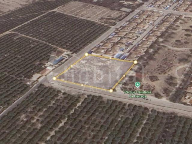 Terreno en venta en Los Montesinos