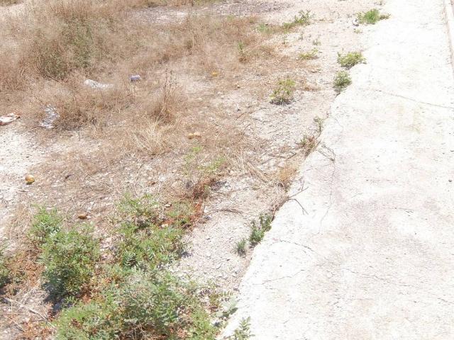 Terreno en venta en Almoradí