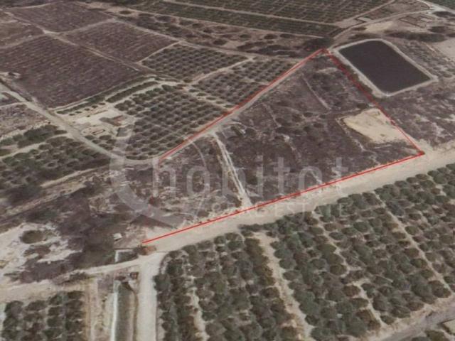 Terreno en venta en Almoradí