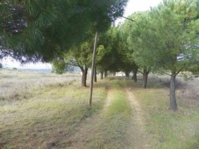 Terreno en venta en Almorox, Castilla-La Mancha