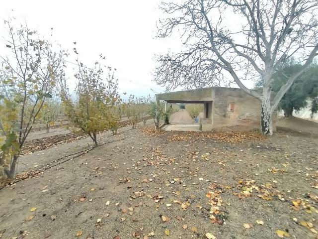 Terreno en venta en Almoster