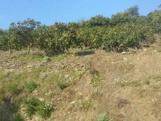 Terreno en venta en Comarca de la Costa Granadina, Andalucía
