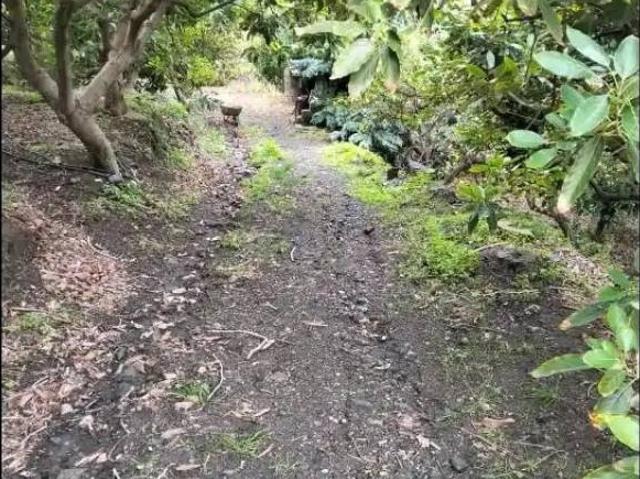 Terreno en venta en Comarca de la Costa Granadina, Andalucía