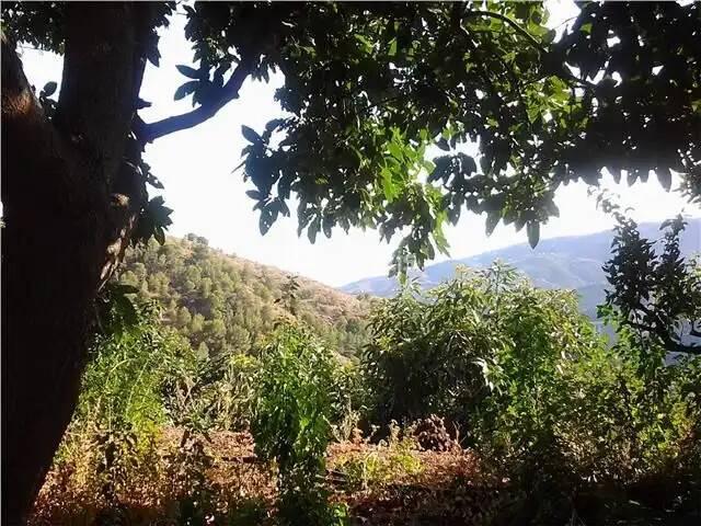 Terreno en venta en Comarca de la Costa Granadina, Andalucía