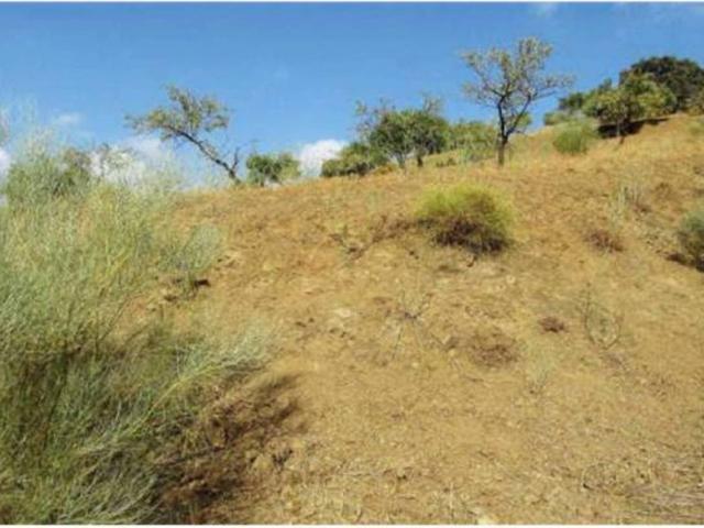 Terreno en venta en Los Llanos, Valle del Guadalhorce